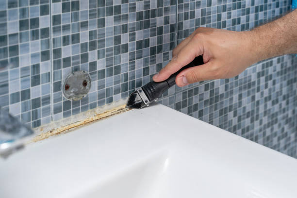 Best Mold Remediation  in Caseyvle, IL